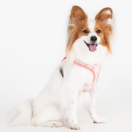 Puppia Pawprint Hondentuig Model A Pink hondentuig > honden harnas > model A Small