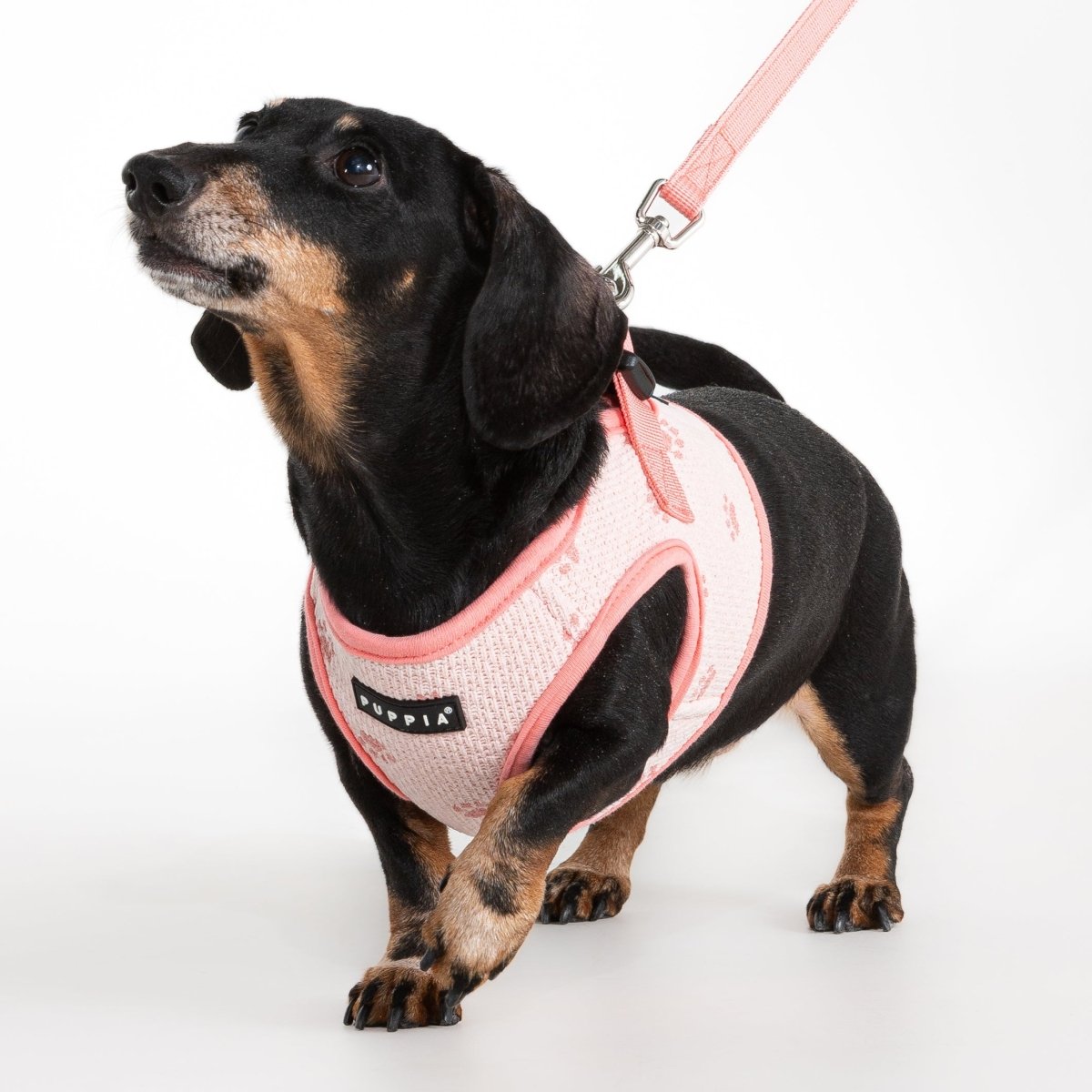 Puppia Pawprint Vest Harness Model B Pink hondentuig > honden harnas > model B Small