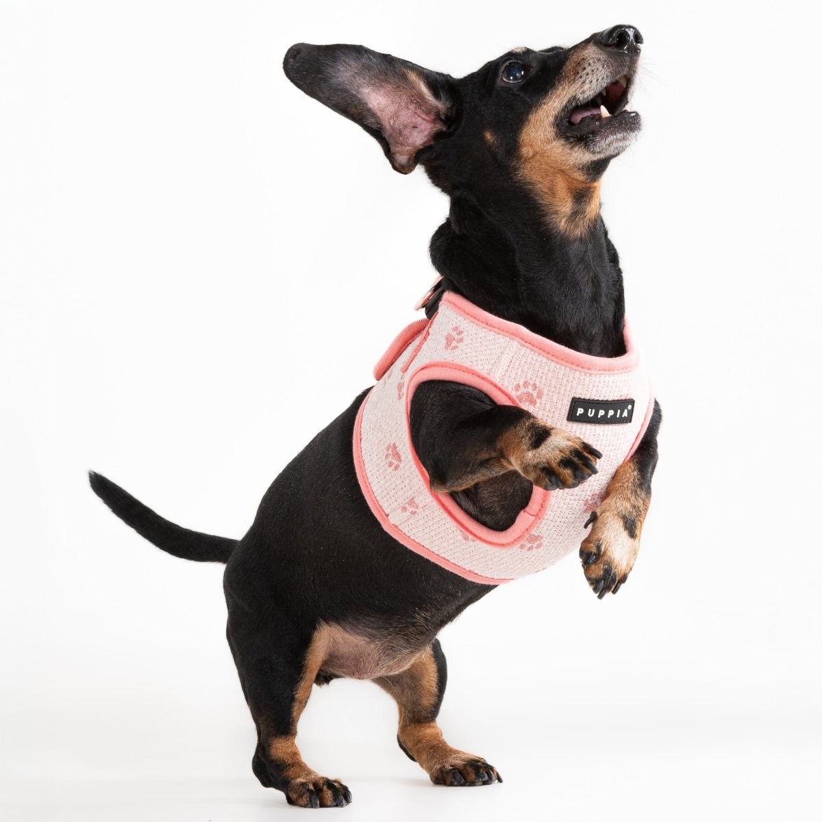 Puppia Pawprint Vest Harness Model B Pink hondentuig > honden harnas > model B Small