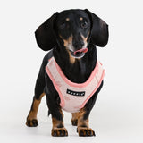 Puppia Pawprint Vest Harness Model B Pink hondentuig > honden harnas > model B Small