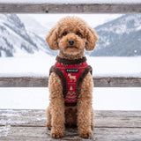 Puppia Rhapsodia Vest Harness Model B- Brown hondentuig > honden harnas > model B Small