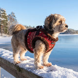 Puppia Rhapsodia Vest Harness Model B- Brown hondentuig > honden harnas > model B Small