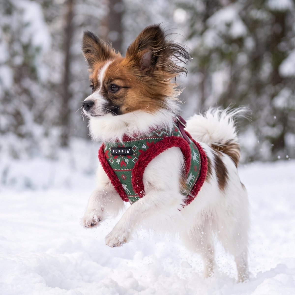 Puppia Rhapsodia Vest Harness Model B - Wine hondentuig > honden harnas > model B Small