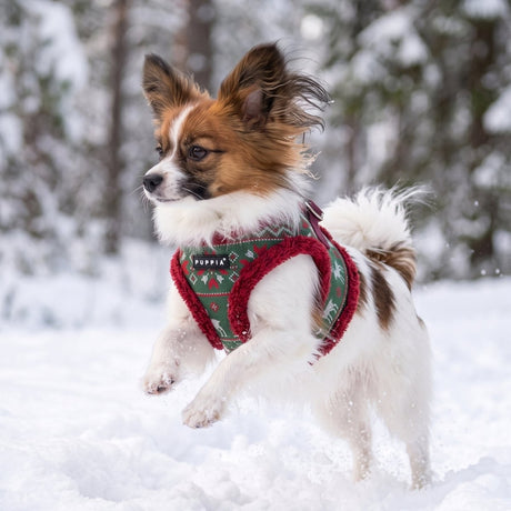 Puppia Rhapsodia Vest Harness Model B - Wine hondentuig > honden harnas > model B Small
