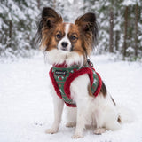 Puppia Rhapsodia Vest Harness Model B - Wine hondentuig > honden harnas > model B Small