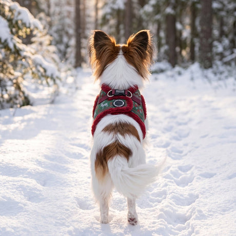 Puppia Rhapsodia Vest Harness Model B - Wine hondentuig > honden harnas > model B Small