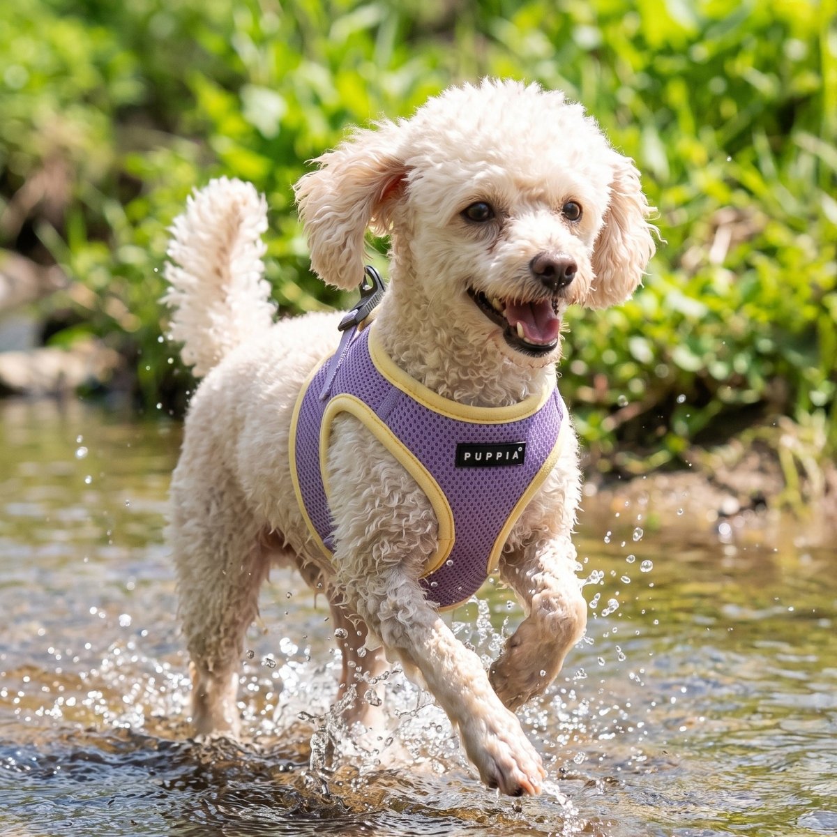 Puppia Soft Ez-Buckle Harness B - Violet hondentuig > honden harnas > model B Small