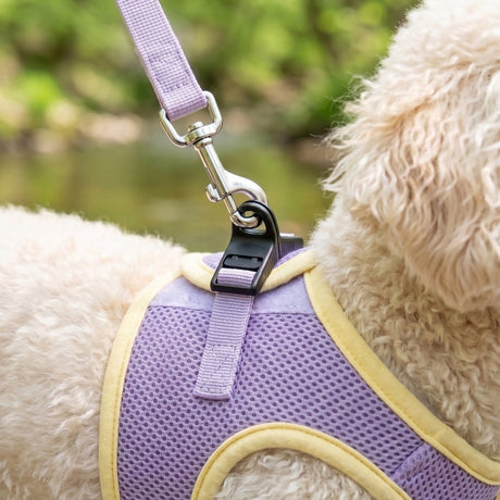 Puppia Soft Ez-Buckle Harness B - Violet hondentuig > honden harnas > model B Small