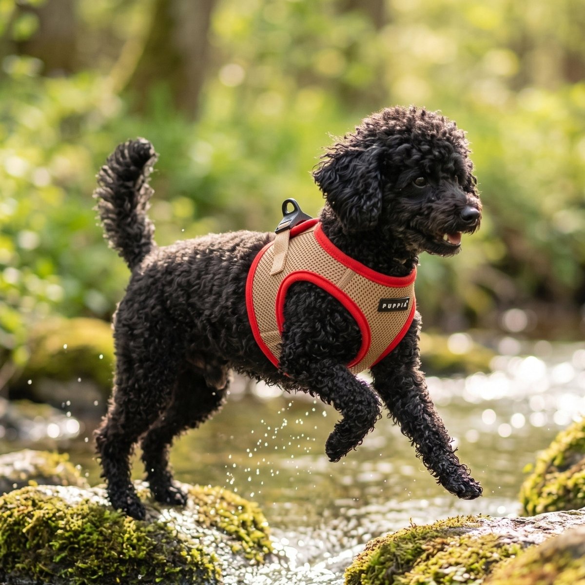 Puppia Soft Ez-Buckle Vest Harness B - Beige hondentuig > honden harnas > model B Small