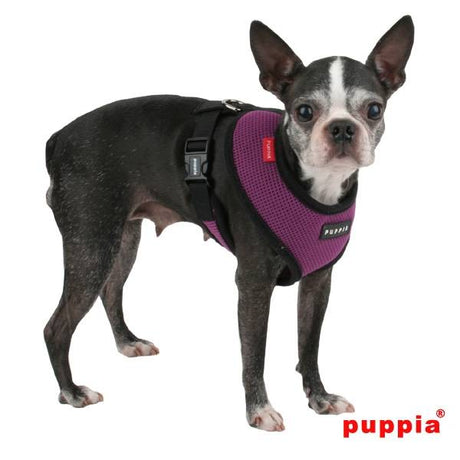 Puppia Soft Harness model A purple hondentuig > honden harnas > model A X - Small
