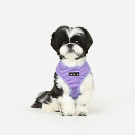 Puppia Soft Harness Model A Violet - Hondentuig hondentuig > honden harnas > model A X - Small