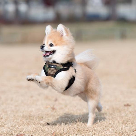 Puppia Soft Harness model C Camo hondentuig > honden harnas > model C Small