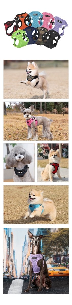 Puppia Soft Harness Model C Violet - Hondentuig hondentuig > honden harnas > model C Small