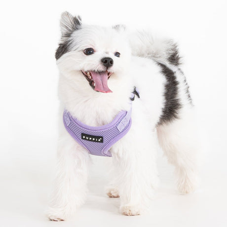 Puppia Soft Harness Model C Violet - Hondentuig hondentuig > honden harnas > model C Small