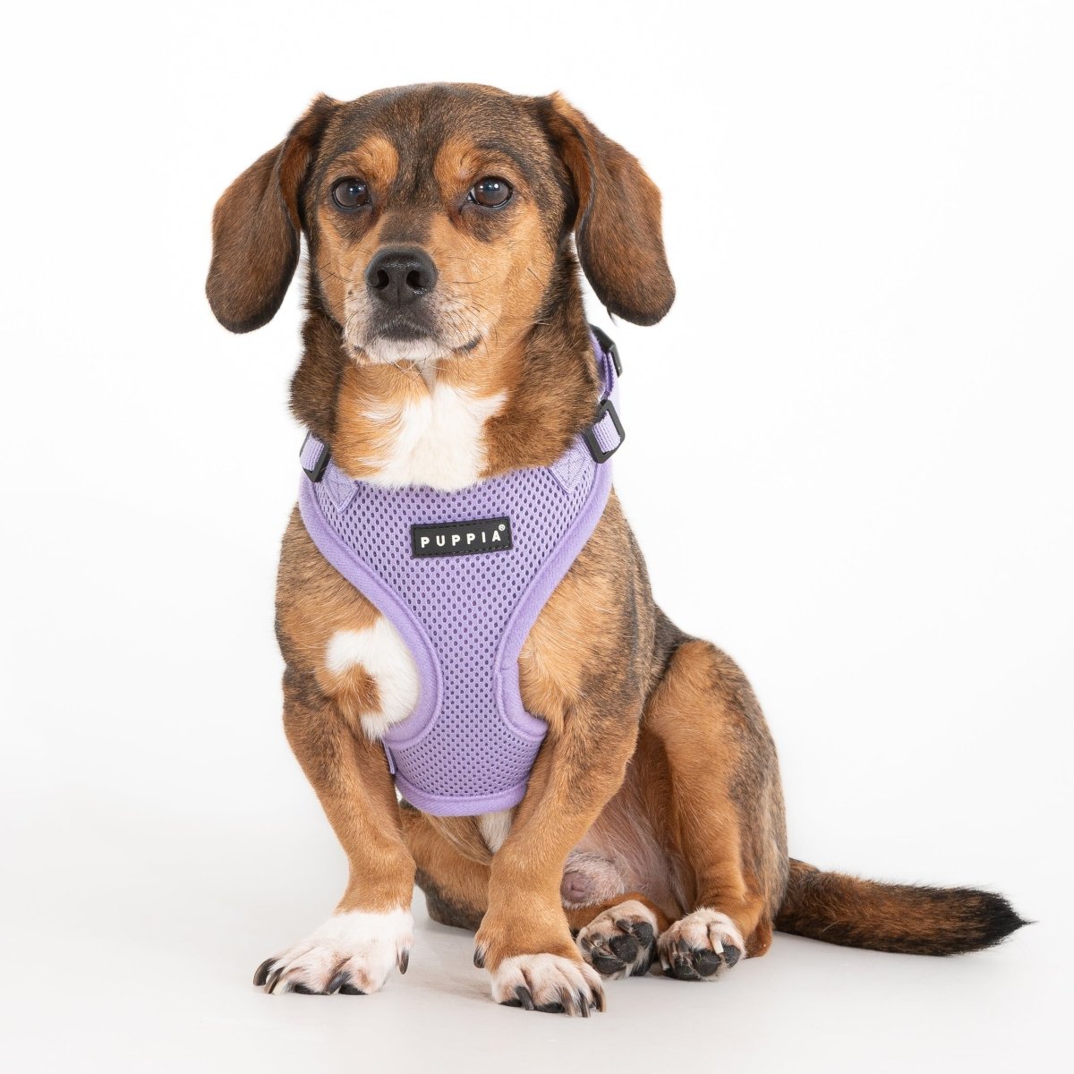 Puppia Soft Harness Ritefit Violet hondentuig > honden harnas > model A Small