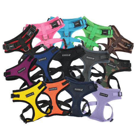 Puppia Soft Harness Ritefit Violet hondentuig > honden harnas > model A Small