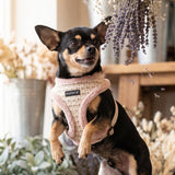 Puppia Stellar Harness Model A - Beige hondentuig > honden harnas > model A Small