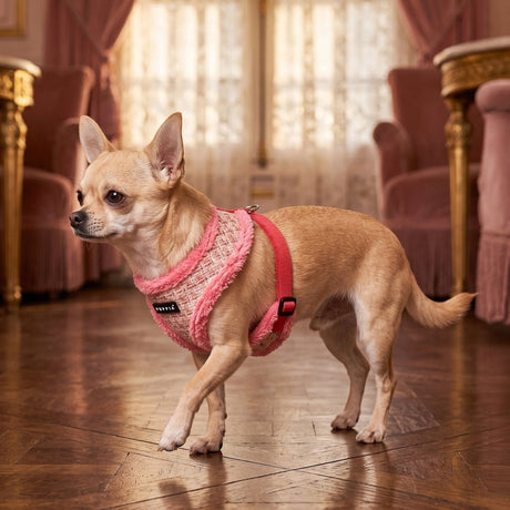 Puppia Stellar Harness Model A - Pink hondentuig > honden harnas > model A Small