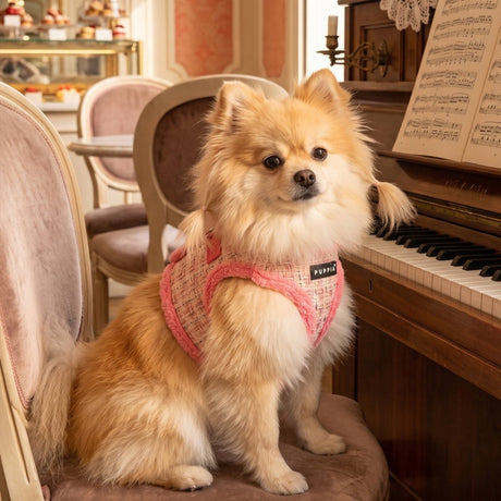 Puppia Stellar Vest Harness Model B - Pink hondentuig > honden harnas > model B Small