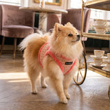 Puppia Stellar Vest Harness Model B - Pink hondentuig > honden harnas > model B Small