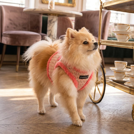 Puppia Stellar Vest Harness Model B - Pink hondentuig > honden harnas > model B Small