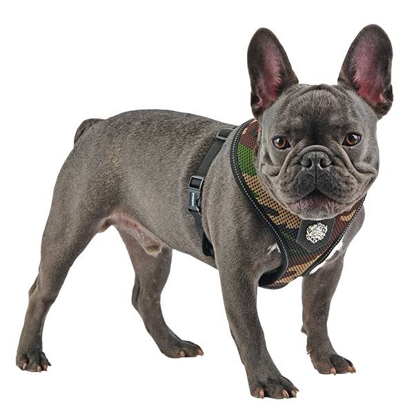 Puppia Thermal Soft Harness model A Camo ( ALLEEN SMALL ) - Premium hondentuig > honden harnas from Puppia - Just €31.99! Shop now at Frenkiezdogshop