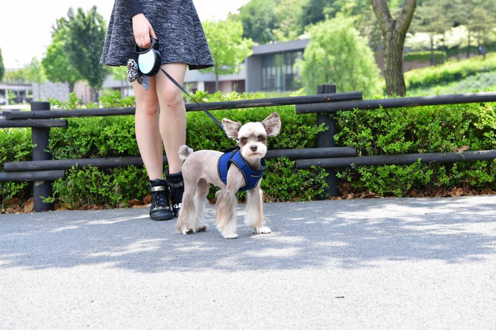 Puppia Thermal Vest Soft Harness model B Royal Blue - Premium hondentuig > honden harnas from Puppia - Just €37.99! Shop now at Frenkiezdogshop