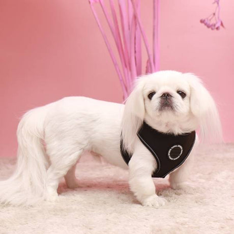 Puppia Trek Harness model A Black hondentuig > honden harnas > model A Small