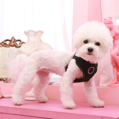 Puppia Trek harness model C Black ( XLARGE ) hondentuig > honden harnas > model C Small