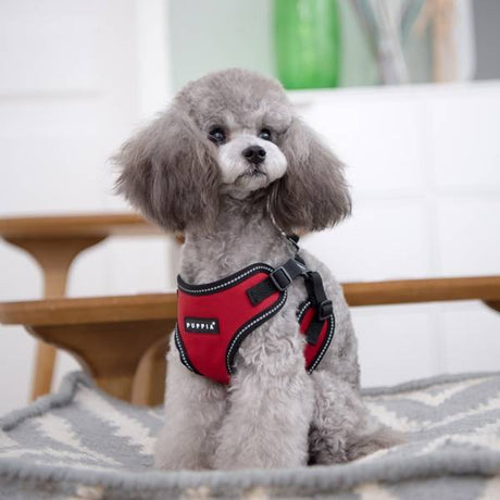 Puppia Trek harness model C Red ( ALLEEN LARGE ) hondentuig > honden harnas > model C Large