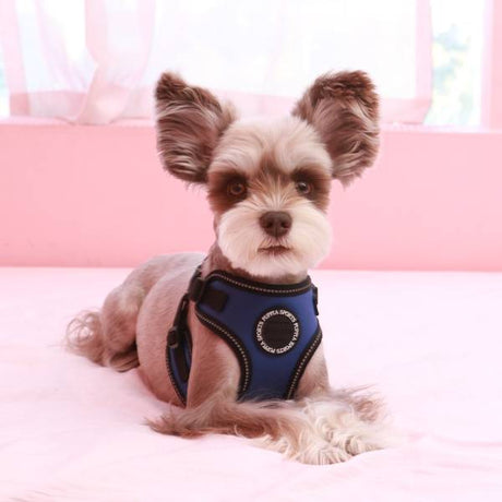 Puppia Trek harness model C Royal Blue hondentuig > honden harnas > model C Small