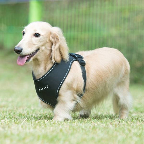 Puppia Trek Harness model E Black hondentuig > honden harnas > overige modellen Small