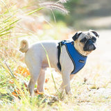 Puppia Trek Harness model E Royal Blue - Premium hondentuig > honden harnas from Puppia - Just €31.99! Shop now at Frenkiezdogshop