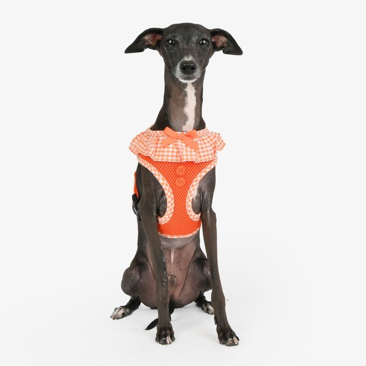 Puppia Vivien Hondentuig Model A Orange – Lichtgewicht Harnasje voor Kleine Honden hondentuig > honden harnas > model A X - Small