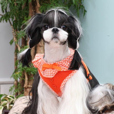 Puppia Vivien Hondentuig Model A Orange – Lichtgewicht Harnasje voor Kleine Honden hondentuig > honden harnas > model A X - Small