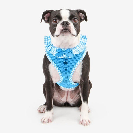 Puppia Vivien Hondentuig Model A Sky Blue – Lichtgewicht Harnasje voor Kleine Honden hondentuig > honden harnas > model A X - Small