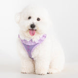 Puppia Vivien Hondentuig Model A Violet – Lichtgewicht Harnasje voor Kleine Honden hondentuig > honden harnas > model A X - Small