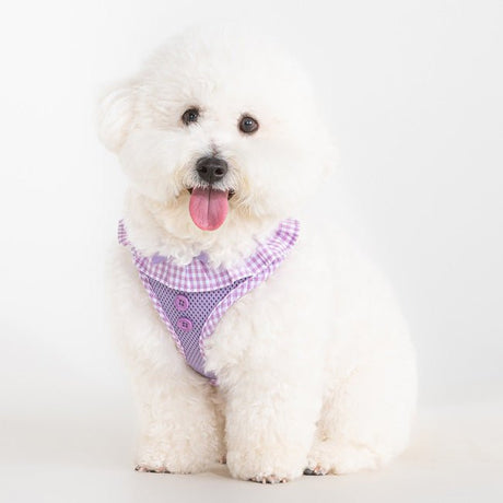 Puppia Vivien Hondentuig Model A Violet – Lichtgewicht Harnasje voor Kleine Honden hondentuig > honden harnas > model A X - Small