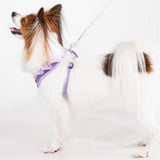 Puppia Vivien Hondentuig Model A Violet – Lichtgewicht Harnasje voor Kleine Honden hondentuig > honden harnas > model A X - Small