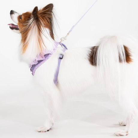 Puppia Vivien Hondentuig Model A Violet – Lichtgewicht Harnasje voor Kleine Honden hondentuig > honden harnas > model A X - Small