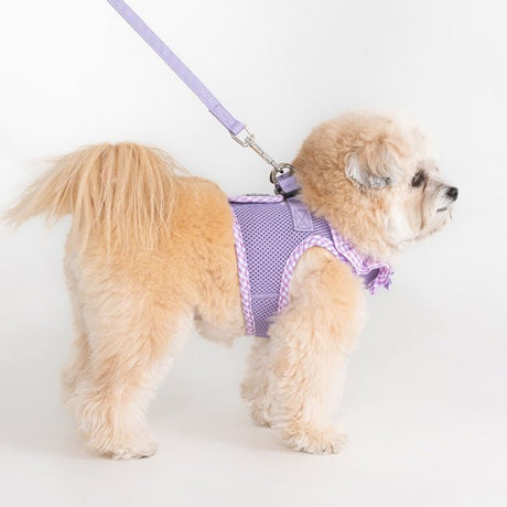 Puppia Vivien Vest Harness Model B Violet - Hondentuig hondentuig > honden harnas > model B X - Small
