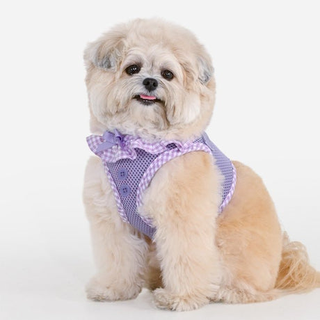 Puppia Vivien Vest Harness Model B Violet - Hondentuig hondentuig > honden harnas > model B X - Small