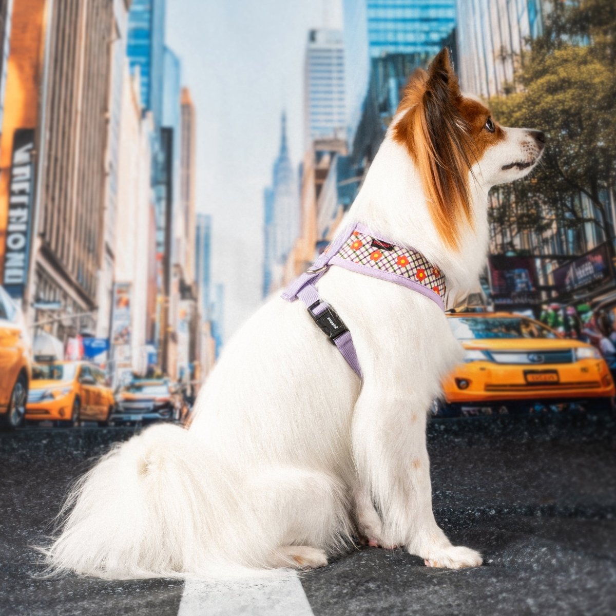 Puppia Westley Hondentuig Model A Violet hondentuig > honden harnas > model A Small