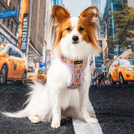 Puppia Westley Hondentuig Model A Violet hondentuig > honden harnas > model A Small