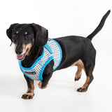 Puppia Westley Vest Harness Model B Skyblue hondentuig > honden harnas > model B Small