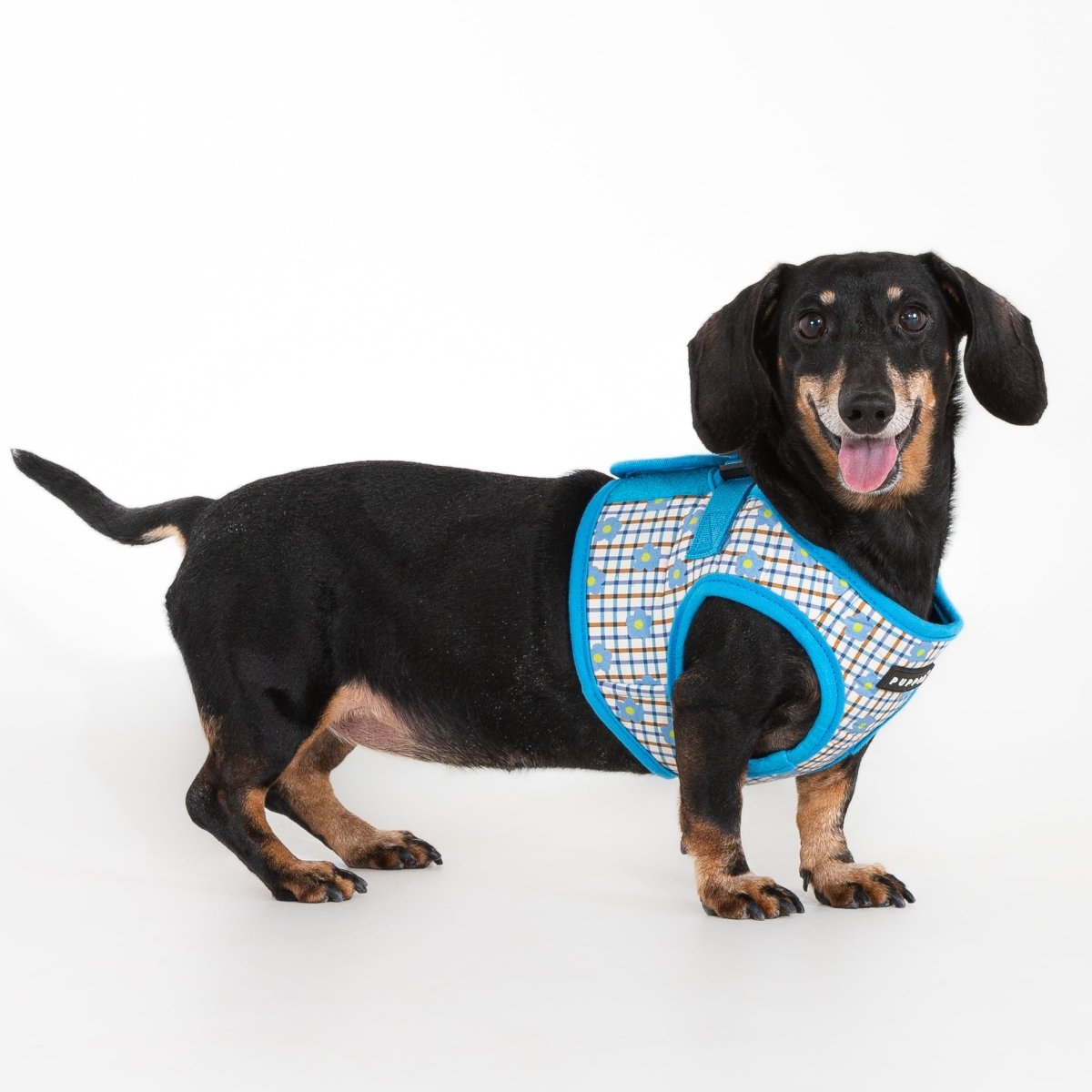 Puppia Westley Vest Harness Model B Skyblue hondentuig > honden harnas > model B Small