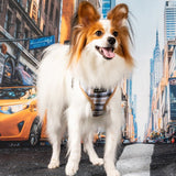 Puppia Windsor Hondentuig Model A Beige hondentuig > honden harnas > model A Small