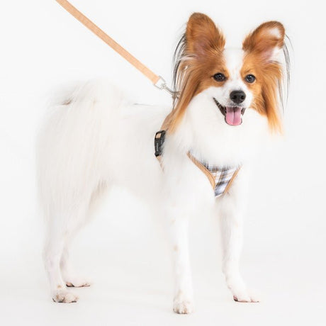 Puppia Windsor Hondentuig Model A Beige hondentuig > honden harnas > model A Small