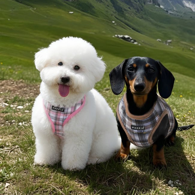 Puppia Windsor Hondentuig Model A Pink hondentuig > honden harnas > model A Small