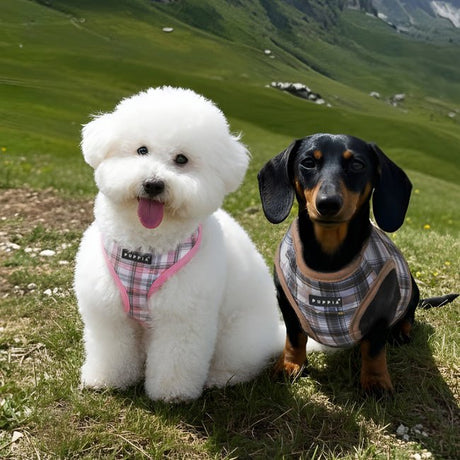 Puppia Windsor Hondentuig Model A Pink hondentuig > honden harnas > model A Small